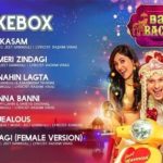 Jiya Nahin Lagta Lyrics Babloo Bachelor