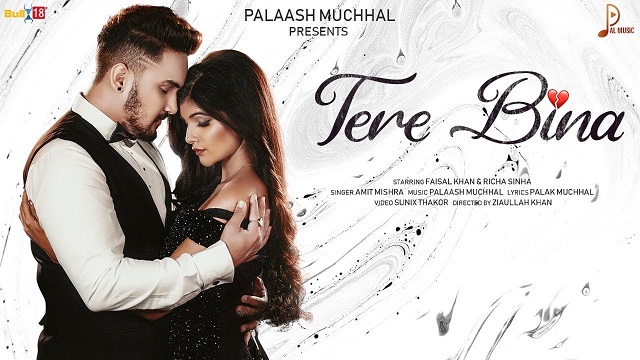 Tere Bina Lyrics Amit Mishra