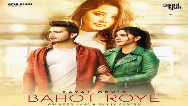 Bahot Roye Lyrics by Payal Dev