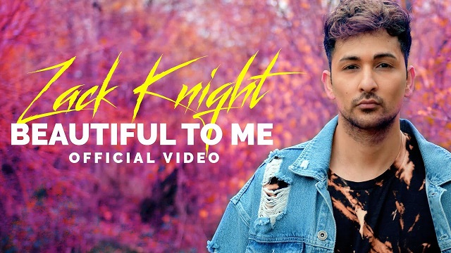 Beautiful To Me Lyrics - Zack Knight