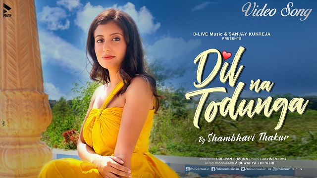 Dil Na Todunga Lyrics Shambhavi Thakur