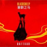 Black Sheep Lyrics Raftaar