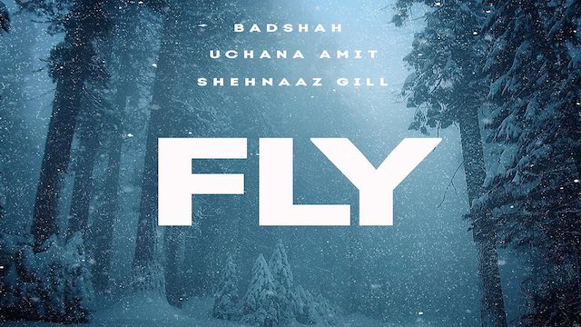 Fly Lyrics Badshah | Uchana Amit