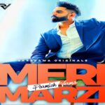 Meri Marzi Lyrics Parmish Verma