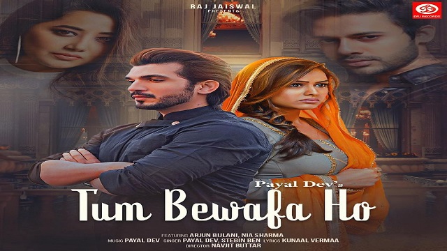 Tum Bewafa Ho Lyrics - Payal Dev | Stebin Ben