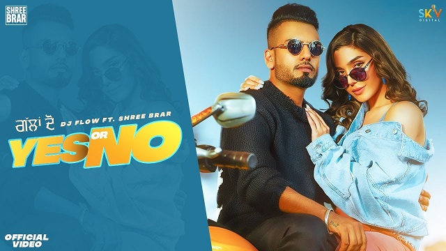 Yes Or No Lyrics Dj Flow | Shree Brar