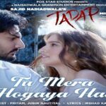 Tu Mera Hogaya Hai Lyrics (Tadap) - Jubin Nautiyal