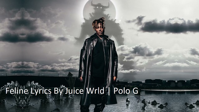 Feline Lyrics - Juice Wrld | Polo G