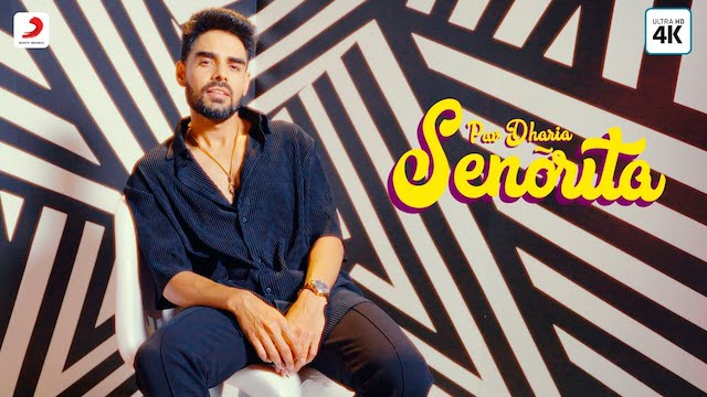 Senorita Lyrics - Pav Dharia