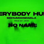 Everybody Hurts Lyrics - Sidhu Moose Wala