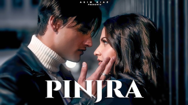 Pinjra Lyrics – Asim Riaz | Himanshi Khurana