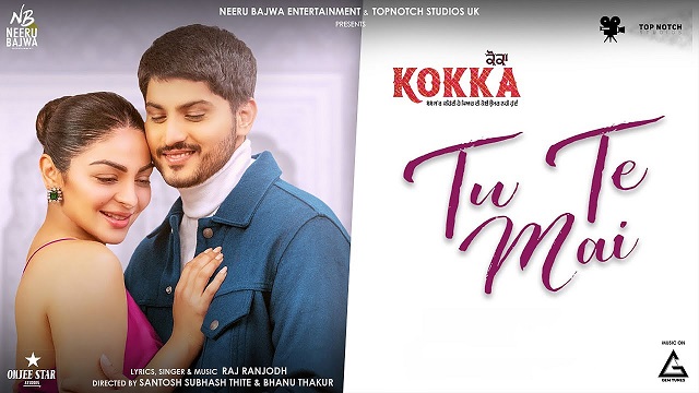 Tu Te Mai Lyrics – Kokka