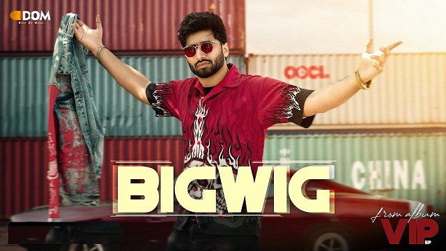 BigWig Lyrics – Shivjot