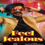 Feel Jealous Lyrics Gulzaar Chhaniwala
