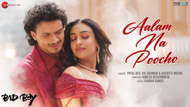 Aalam Na Poocho Lyrics (Bad Boy) - Payal Dev