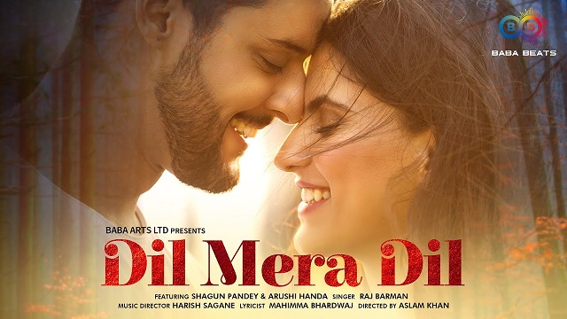 Dil Mera Dil Lyrics - Raj Barman