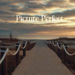 Picture Perfect Lyrics - Navaan Sandhu