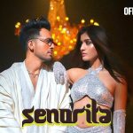 Senorita Lyrics - Tony Kakkar | Young Desi