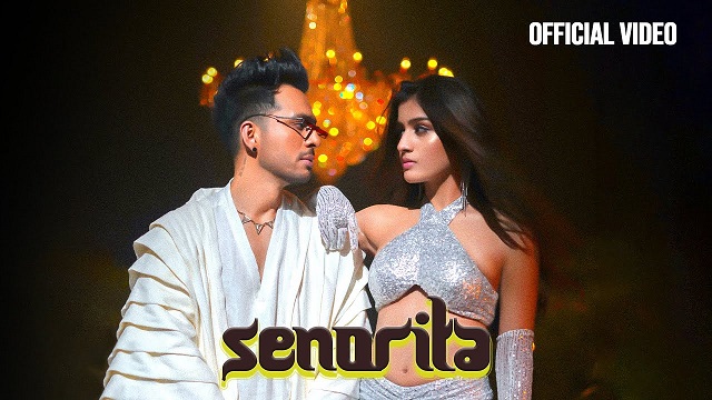 Senorita Lyrics - Tony Kakkar | Young Desi