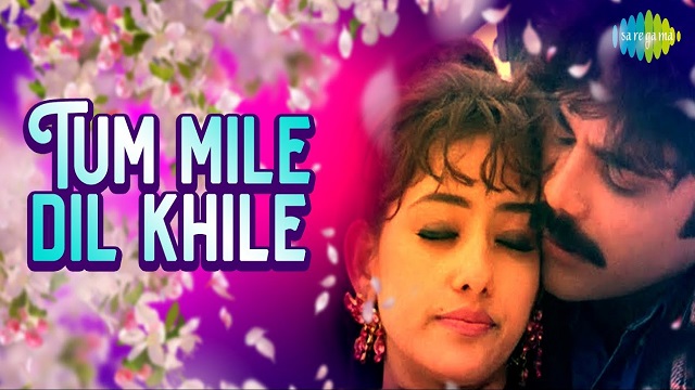 Tu Mile Dil Khile Lyrics In Hindi - Kumar Sanu