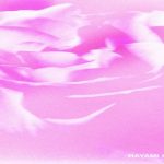 Hayami Hana (Letra) Lyrics - Rauw Alejandro