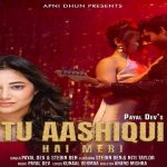 Tu Aashiqui Hai Meri Lyrics In Hindi - Payal Dev