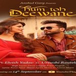हम तो दीवाने Hum Toh Deewane Lyrics In Hindi - Elvish Yadav