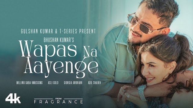 वापस न आएंगे Wapas Na Aayenge Lyrics In Hindi - Millind Gaba