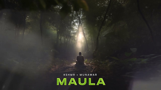 Maula Lyrics - Munawar Faruqui | Kshmr