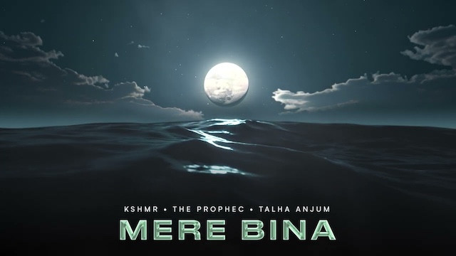 Mere Bina Lyrics - The Prophec & Talha Anjum | KSHMR