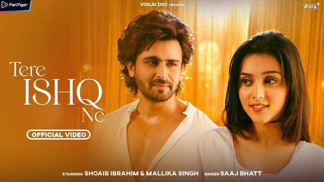 Tere Ishq Ne Lyrics In Hindi - Saaj Bhatt