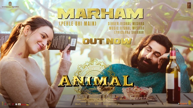 मरहम Marham Lyrics In Hindi (Animal) – Vishal Mishra – Lyricsdose.store