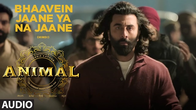 Bhaavein Jaane Ya Na Jaane Lyrics - Animal