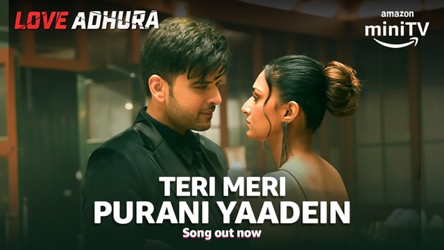 Teri Meri Purani Yaadein Lyrics In Hindi - Love Adhura