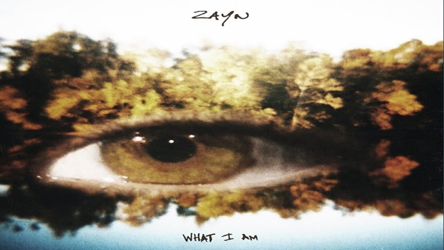 What I Am Lyrics - Zayn Malik